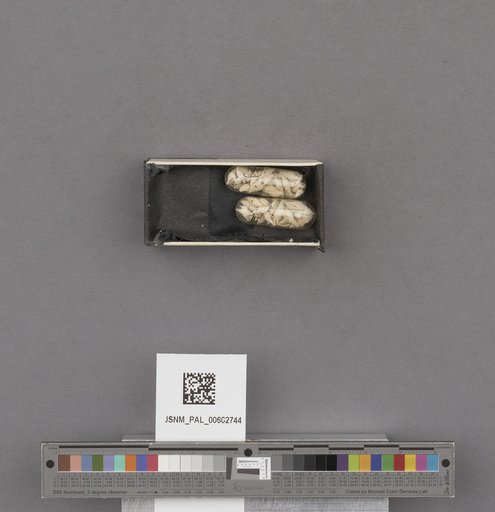 NSF ADBC EPICC TCN