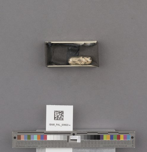 NSF ADBC EPICC TCN