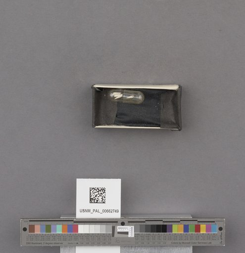 NSF ADBC EPICC TCN
