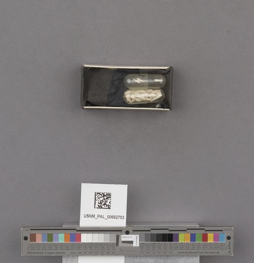 NSF ADBC EPICC TCN