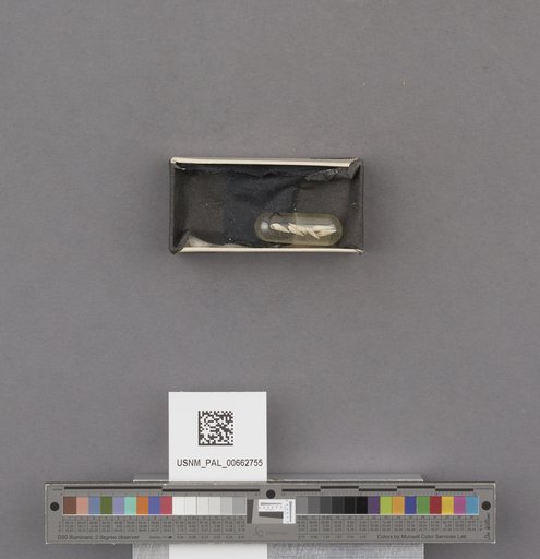 NSF ADBC EPICC TCN