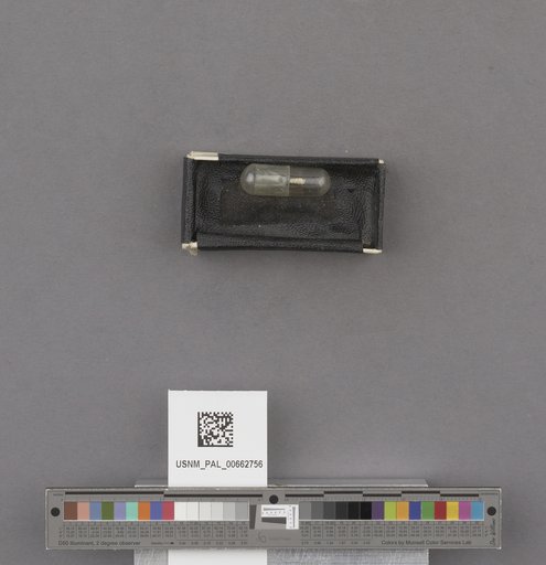 NSF ADBC EPICC TCN