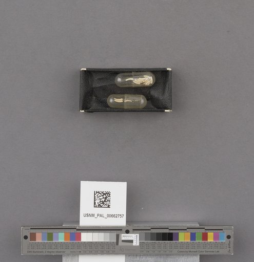 NSF ADBC EPICC TCN