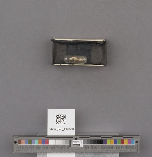 NSF ADBC EPICC TCN