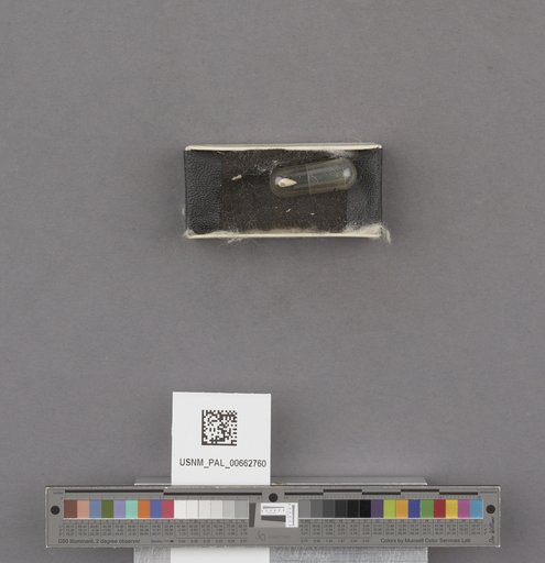 NSF ADBC EPICC TCN