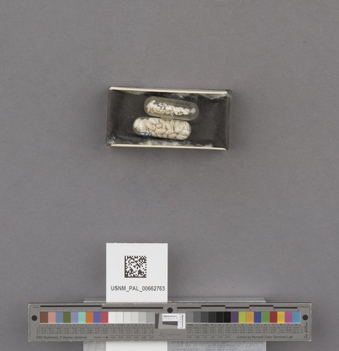 NSF ADBC EPICC TCN