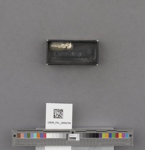NSF ADBC EPICC TCN