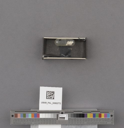 NSF ADBC EPICC TCN