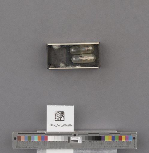 NSF ADBC EPICC TCN