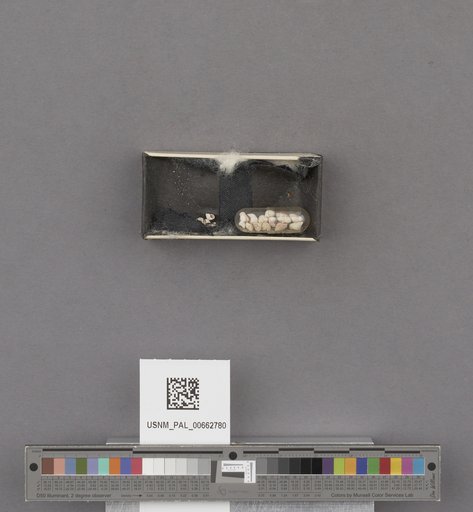 NSF ADBC EPICC TCN