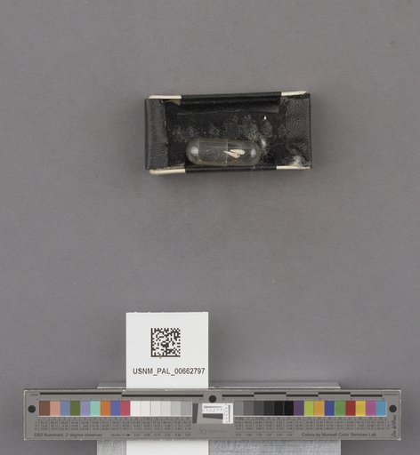 NSF ADBC EPICC TCN
