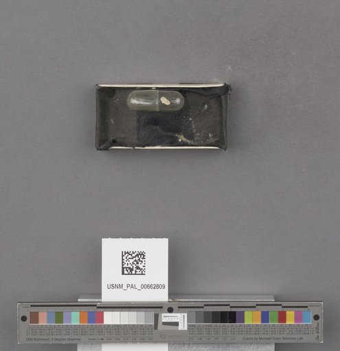 NSF ADBC EPICC TCN