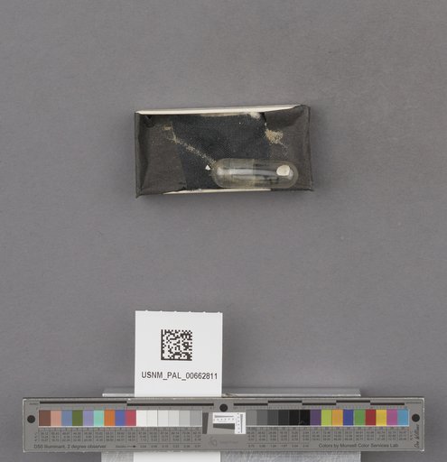 NSF ADBC EPICC TCN
