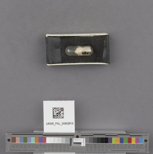 NSF ADBC EPICC TCN
