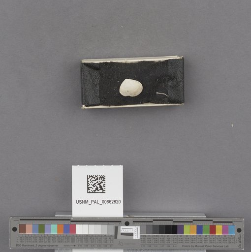 NSF ADBC EPICC TCN