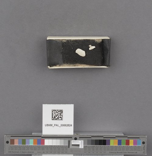 NSF ADBC EPICC TCN