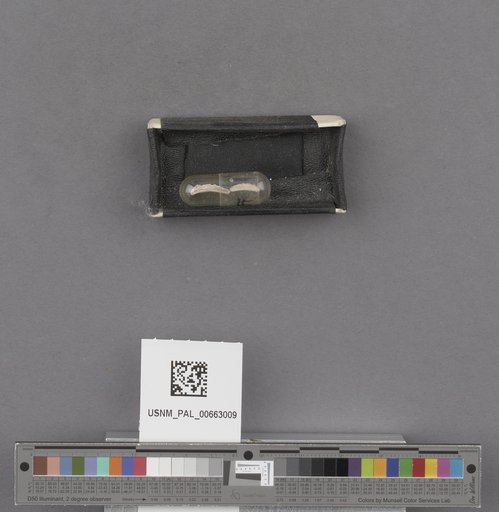 NSF ADBC EPICC TCN