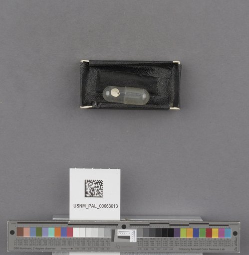 NSF ADBC EPICC TCN
