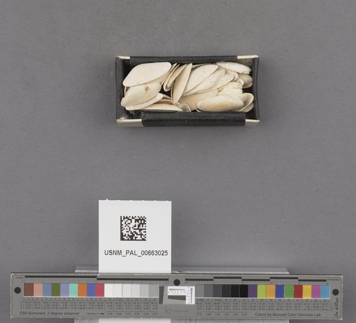 NSF ADBC EPICC TCN