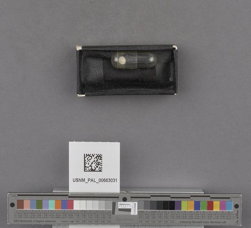 NSF ADBC EPICC TCN