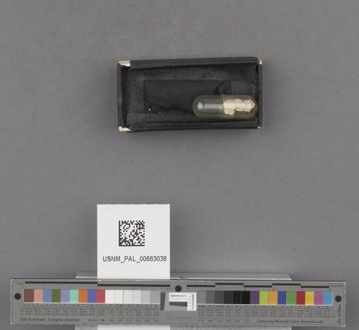 NSF ADBC EPICC TCN