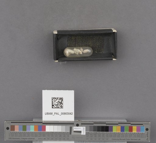 NSF ADBC EPICC TCN
