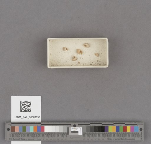 NSF ADBC EPICC TCN