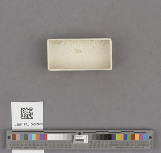 NSF ADBC EPICC TCN