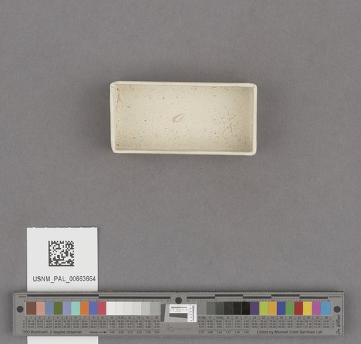NSF ADBC EPICC TCN