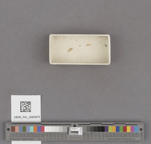 NSF ADBC EPICC TCN