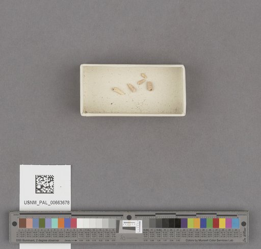 NSF ADBC EPICC TCN