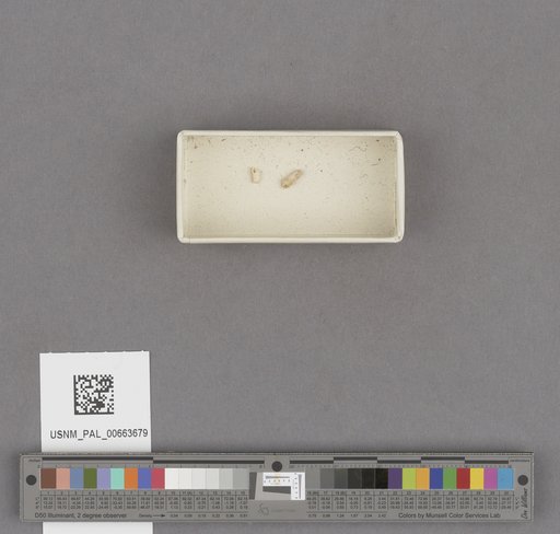 NSF ADBC EPICC TCN