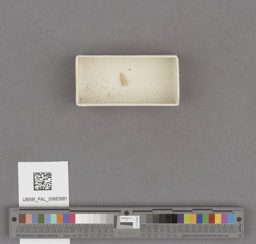 NSF ADBC EPICC TCN