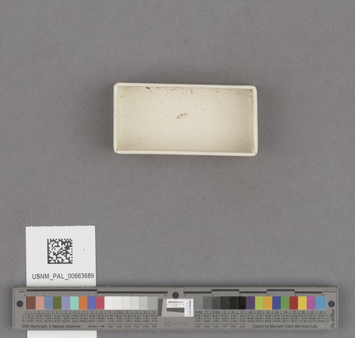NSF ADBC EPICC TCN