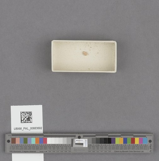 NSF ADBC EPICC TCN