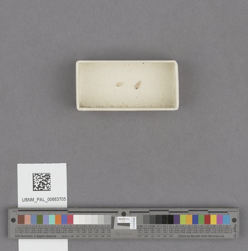 NSF ADBC EPICC TCN