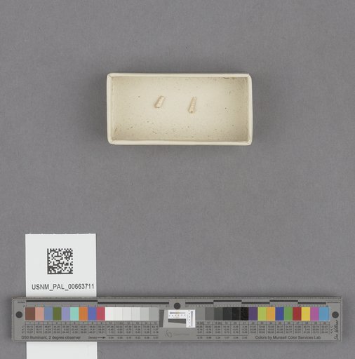 NSF ADBC EPICC TCN