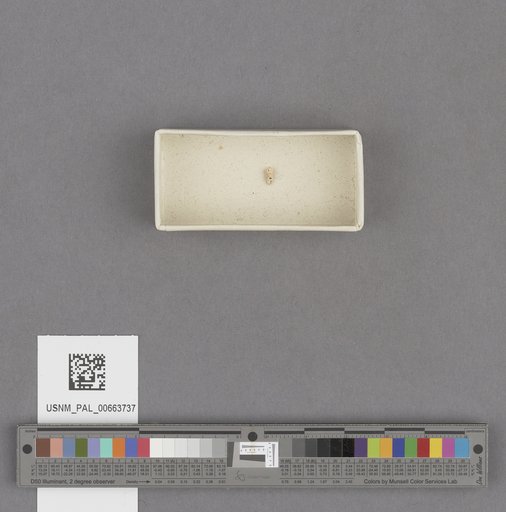 NSF ADBC EPICC TCN
