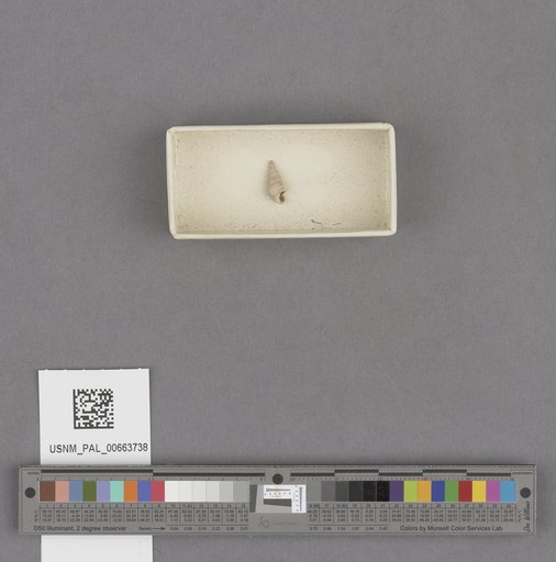 NSF ADBC EPICC TCN