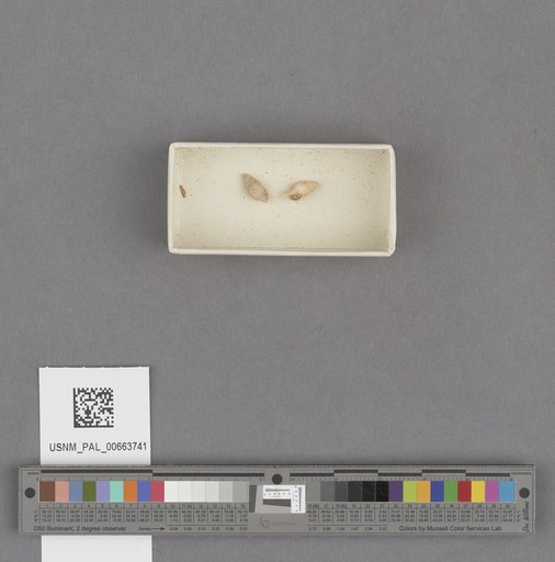 NSF ADBC EPICC TCN