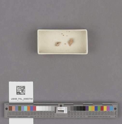 NSF ADBC EPICC TCN
