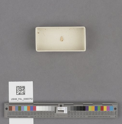NSF ADBC EPICC TCN