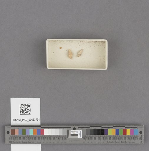 NSF ADBC EPICC TCN