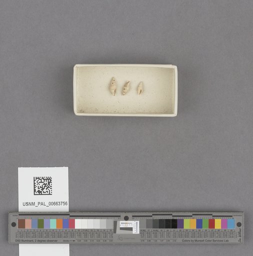 NSF ADBC EPICC TCN