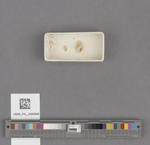 NSF ADBC EPICC TCN
