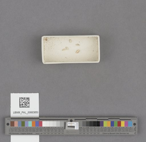 NSF ADBC EPICC TCN