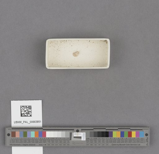 NSF ADBC EPICC TCN