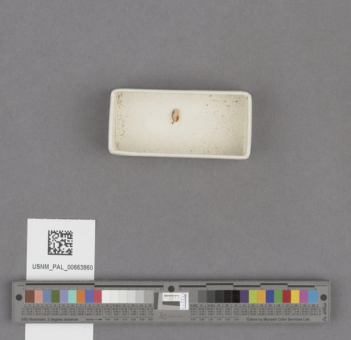 NSF ADBC EPICC TCN