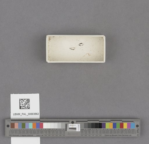 NSF ADBC EPICC TCN