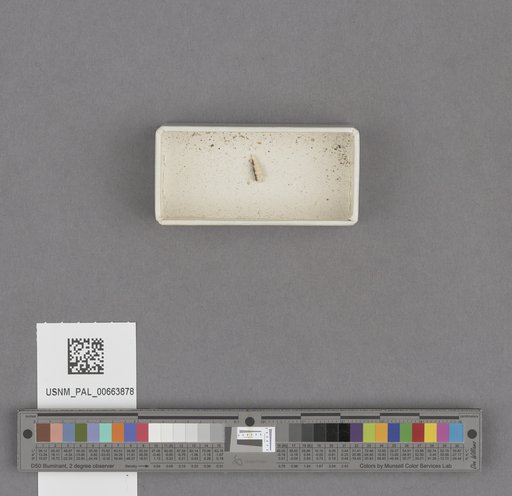 NSF ADBC EPICC TCN